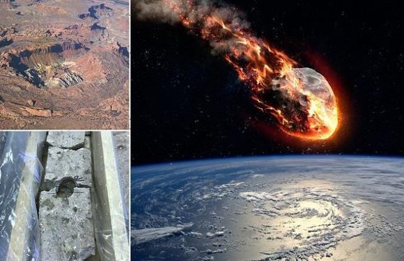 Huge meteorite did not play a part in demise of dinosaurs, study says