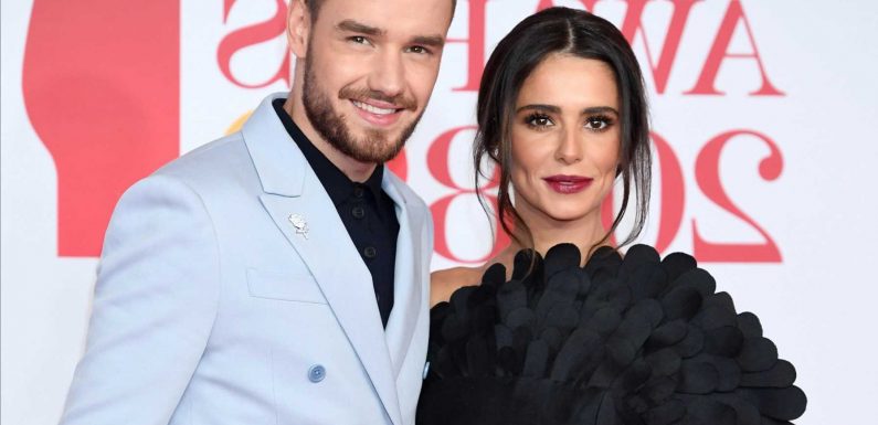 Liam Payne says Cheryl wants son Bear to 'become a yogi' and not have showbiz career