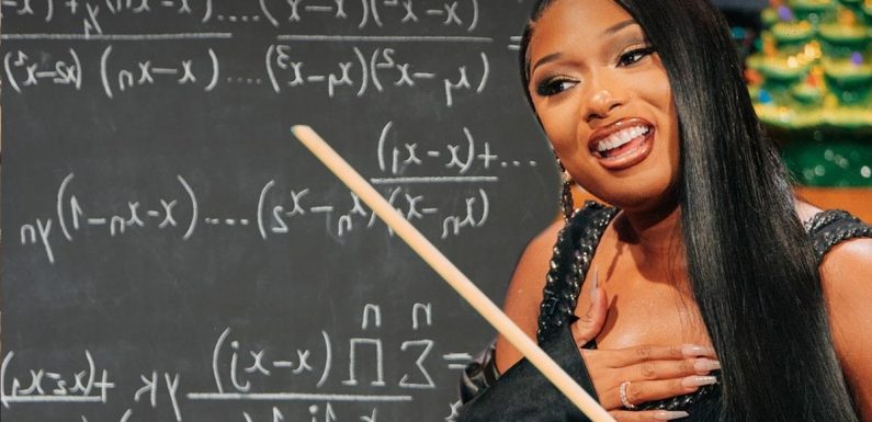 Megan Thee Stallion Donating Scholarship to Roc Nation School of Music