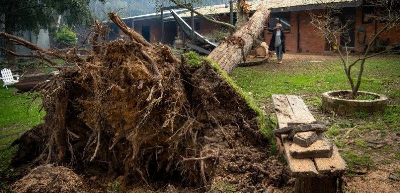 Melburnians warned against travel to flood and storm battered areas