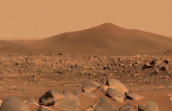 NASA discovers vital salts on Mars in latest sign of life on the red planet