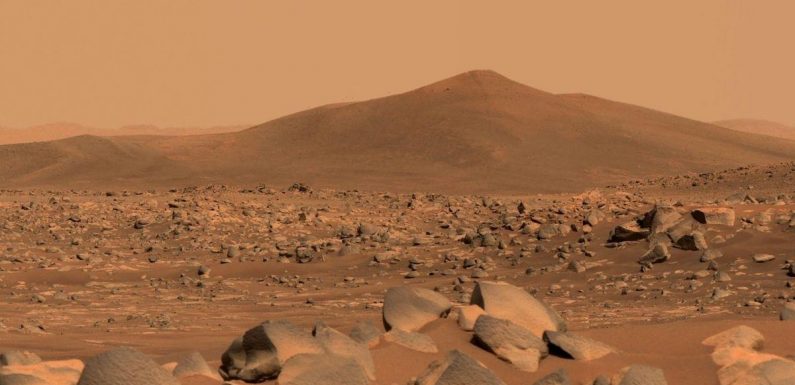 NASA discovers vital salts on Mars in latest sign of life on the red planet