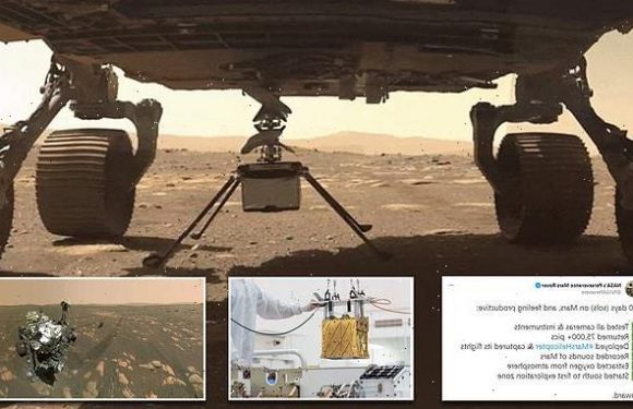 NASA marks Perseverance's 100th day on Mars in tweet