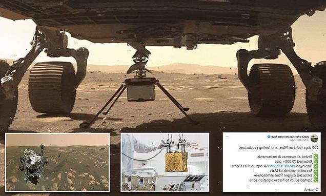 NASA marks Perseverance's 100th day on Mars in tweet