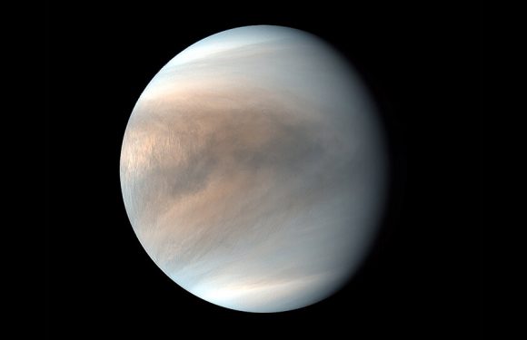 New NASA Missions Will Study Venus, a World Overlooked for Decades