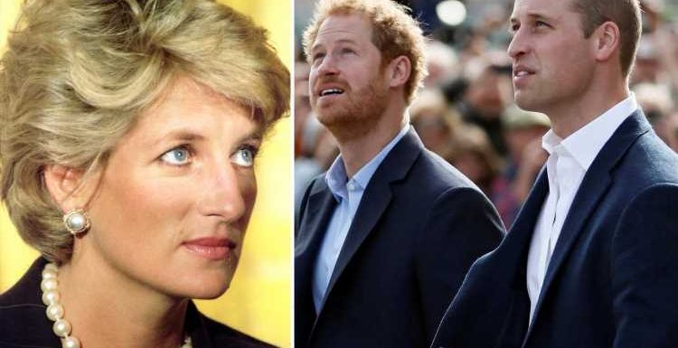 Princes William & Harry scrap speech plans for Princess Diana statue & could make separate statements as rift rumbles on