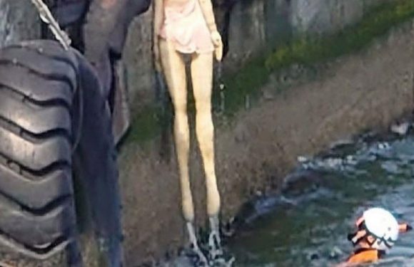 Rescuers summoned to fish ‘drowned woman’ out of sea discover discarded sex doll