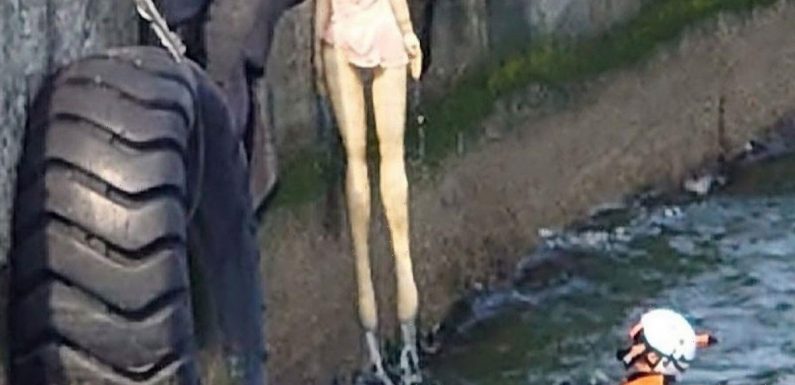 Rescuers summoned to fish ‘drowned woman’ out of sea discover discarded sex doll