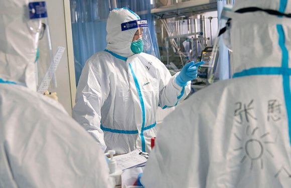 Scientist Finds Early Virus Sequences That Had Been Mysteriously Deleted