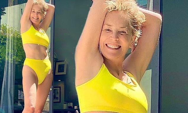 Sharon Stone, 63, wishes everyone a 'happy summer' in a yellow bikini