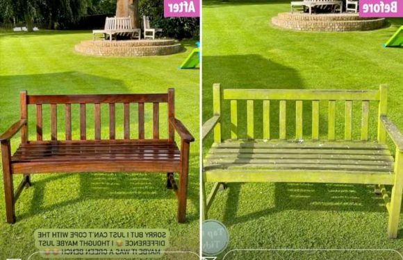 Stacey Solomon shows off epic cleaning transformation as she shares her trick for blasting her ‘swampy’ garden bench