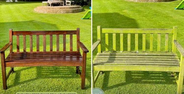 Stacey Solomon shows off epic cleaning transformation as she shares her trick for blasting her ‘swampy’ garden bench