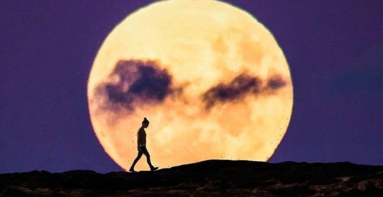Strawberry Moon TONIGHT: NASA welcome’s June’s beautiful Full Moon