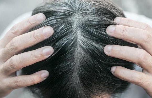 Stress does turn hair gray but it might be reversible, scientists say