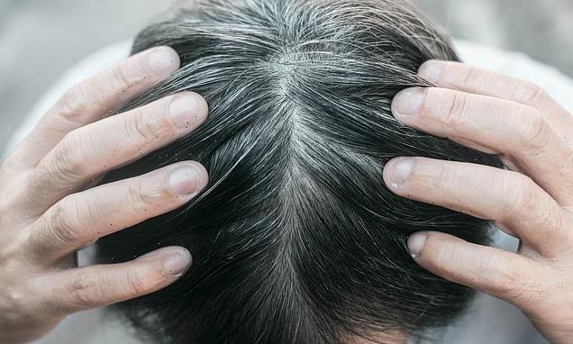 Stress does turn hair gray but it might be reversible, scientists say