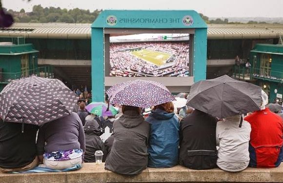 Tennis is the most euphoric sport to watch, AI analysis reveals