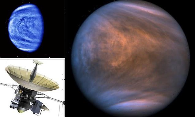 There isn't enough water on Venus to sustain life, scientists say