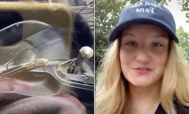 TikTok user films car that has been left to go MOULDY on London street