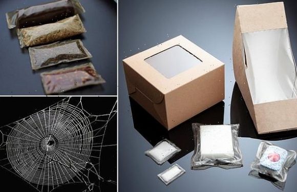 'Vegan spider silk' provides alternative to single-use plastics