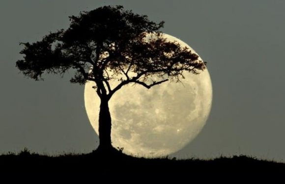 What time is the Full Moon tonight? Don’t miss the last Supermoon of the year