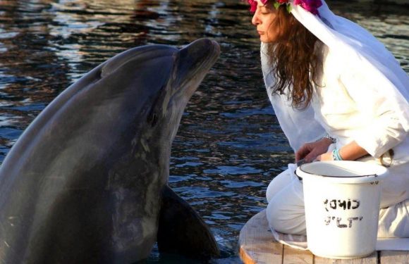 Woman who married dolphin saying ‘it’s not perverted’ – and other weird weddings