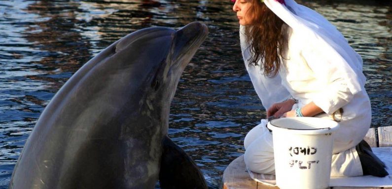 Woman who married dolphin saying ‘it’s not perverted’ – and other weird weddings
