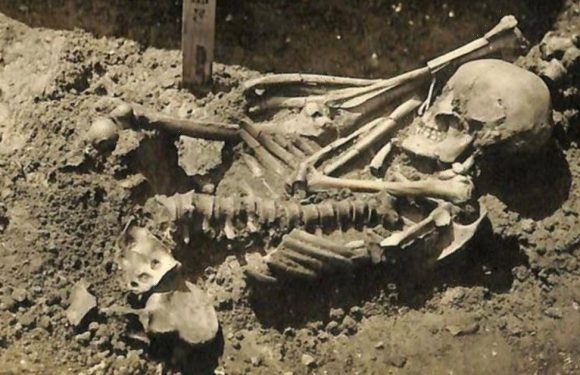 World’s first shark victim was mangled fisherman mauled to death 3000 years ago