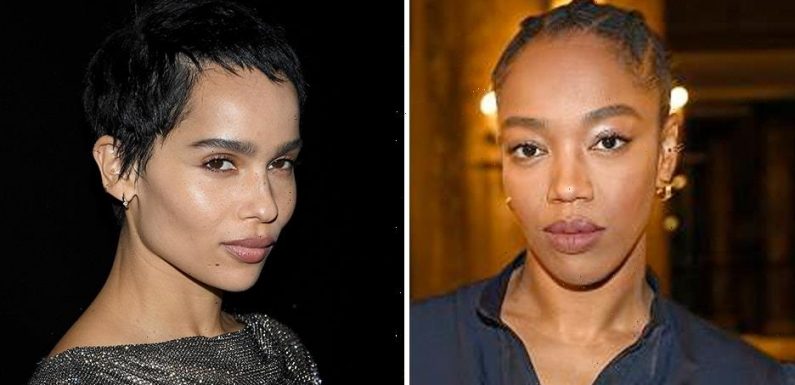 Zoë Kravitz's Directorial Debut 'Pussy Island' Heads to MGM, Naomi Ackie Set to Star