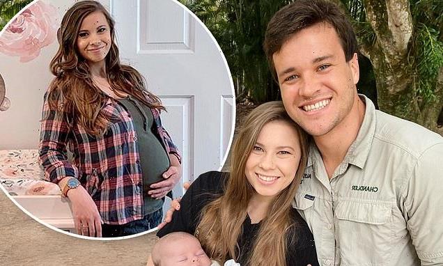 Bindi Irwin 'pregnant' 4 months after welcoming daughter Grace: report