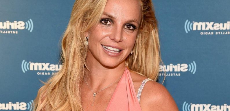 Britney Spears shares plans to visit Cher after conservatorship comes to an end