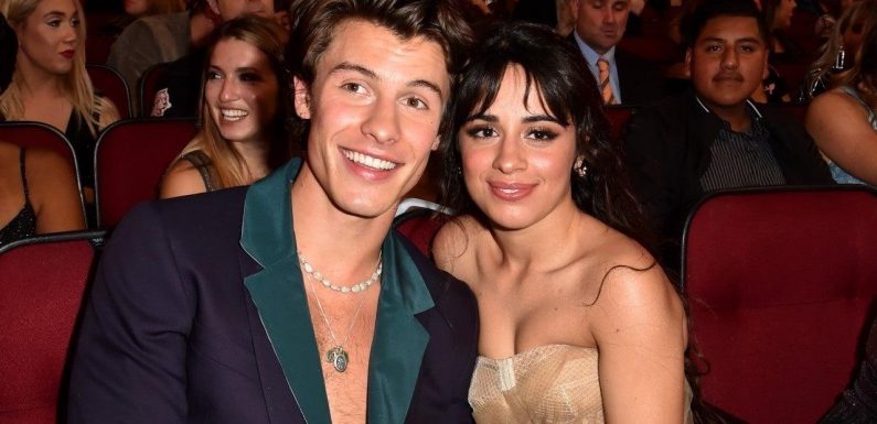 Camila Cabello and Shawn Mendes Celebrate 2 Years Together