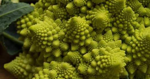 Cauliflower and Chaos, Fractals in Every Floret