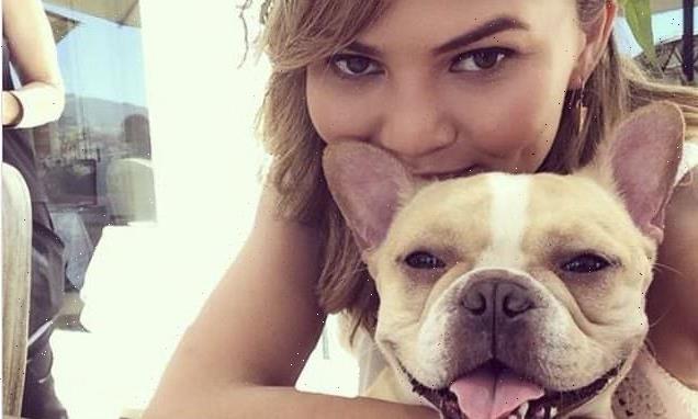 Chrissy Teigen reveals beloved French Bulldog Pippa 'died in my arms'