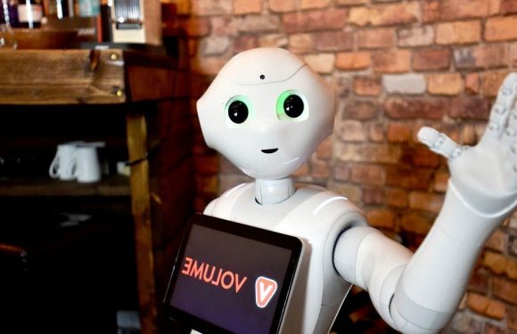 Cutting edge robot who can ‘read emotions’ keeps getting fired from jobs