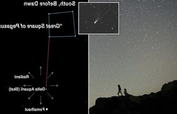Delta Aquariids meteor shower will peak on Wednesday