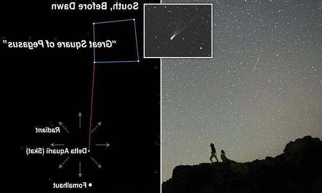 Delta Aquariids meteor shower will peak on Wednesday