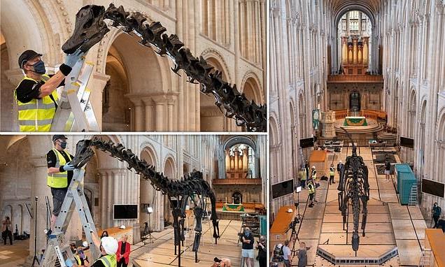 Dippy the 'people's dinosaur' hits Norwich Cathedral