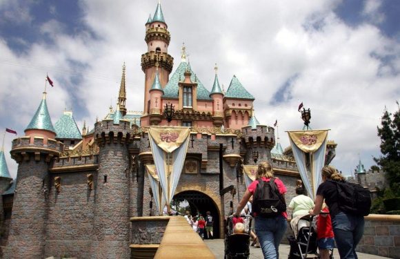 Disturbing cases of human remains being scattered on Disneyland rides