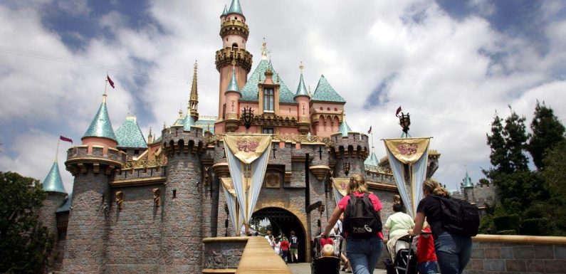 Disturbing cases of human remains being scattered on Disneyland rides