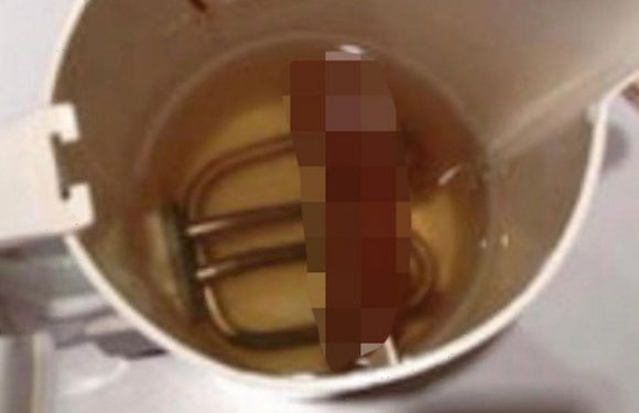 Drunk man breaks into family’s home and poos in kettle before napping on sofa