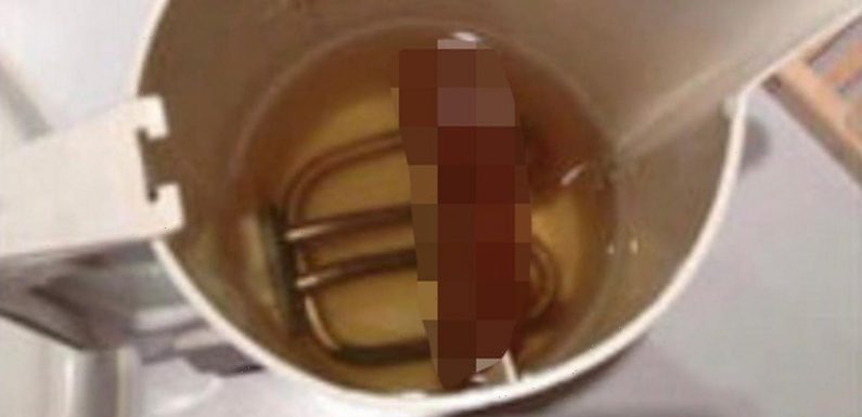 Drunk man breaks into family’s home and poos in kettle before napping on sofa