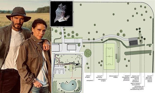 EXC: The Beckhams WIN approval to build 'barn for bats and birds'