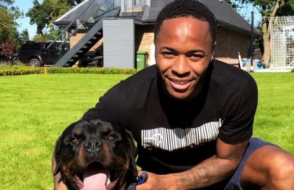 England’s Euro heroes who adore their dogs almost as much as they love footie