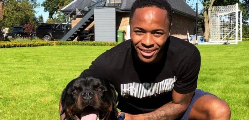 England’s Euro heroes who adore their dogs almost as much as they love footie