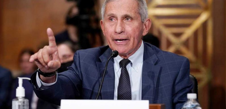 Fauci says US ‘going in the wrong direction’ with rising COVID-19 cases