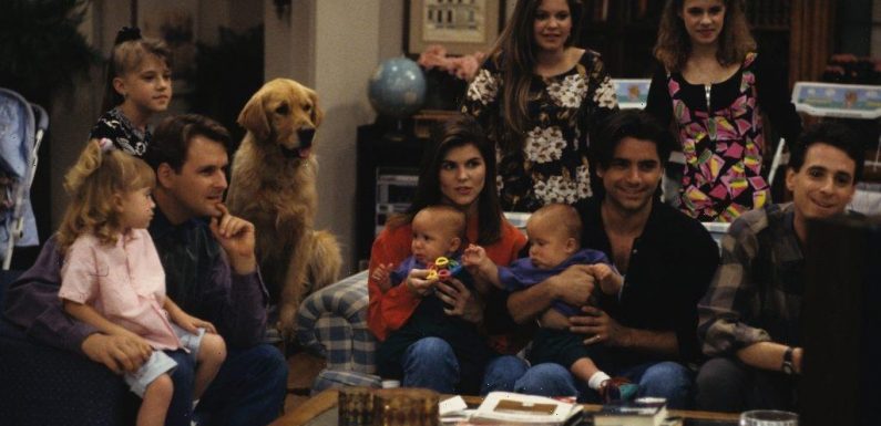 'Full House': What Were the Names of Uncle Jesse and Rebecca's Twins?