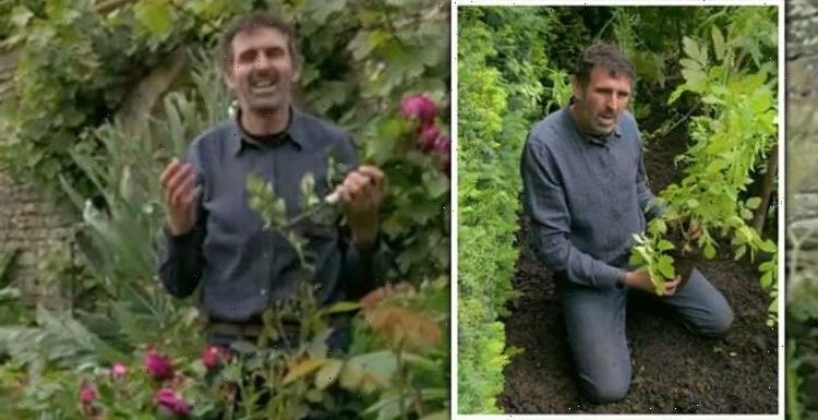 Gardeners’ World sends fans into panic over shake up:  ‘Where is it?’