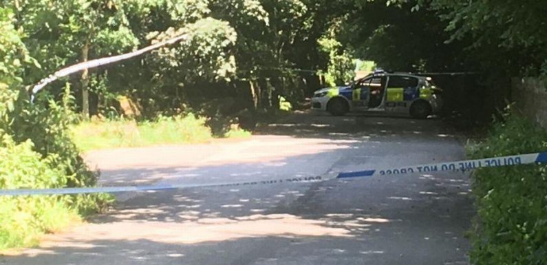 Girl, 18, sexually assaulted at beauty spot in West Yorkshire