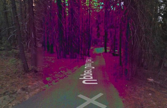Google Maps users spot ‘anomaly’ that has them convinced it’s a ‘haunted forest’
