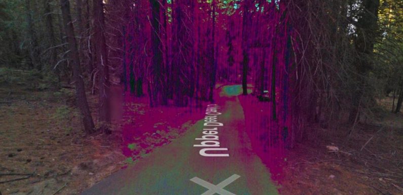 Google Maps users spot ‘anomaly’ that has them convinced it’s a ‘haunted forest’